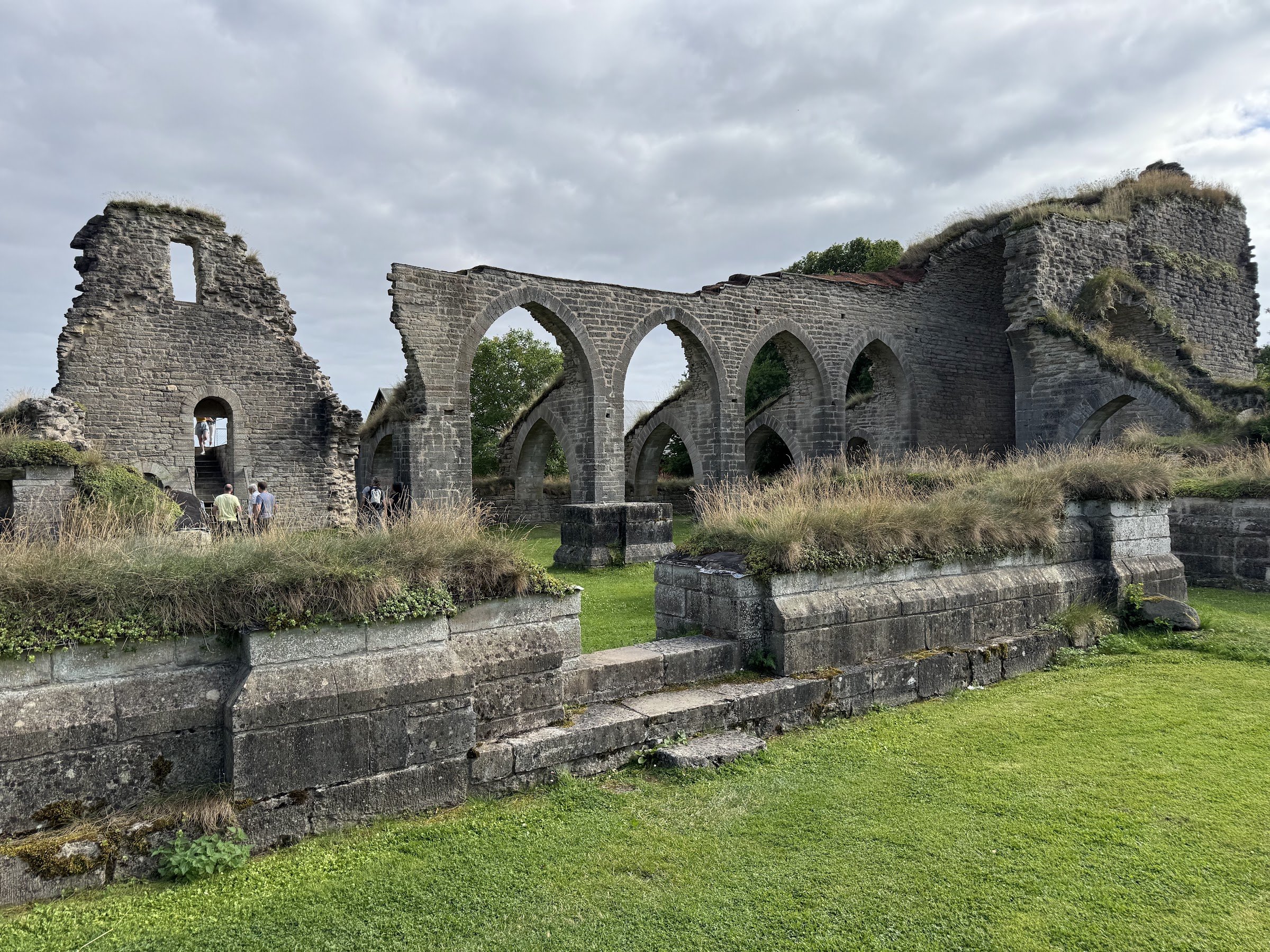 Alvastra Monastery (Alvastra klosterruin)